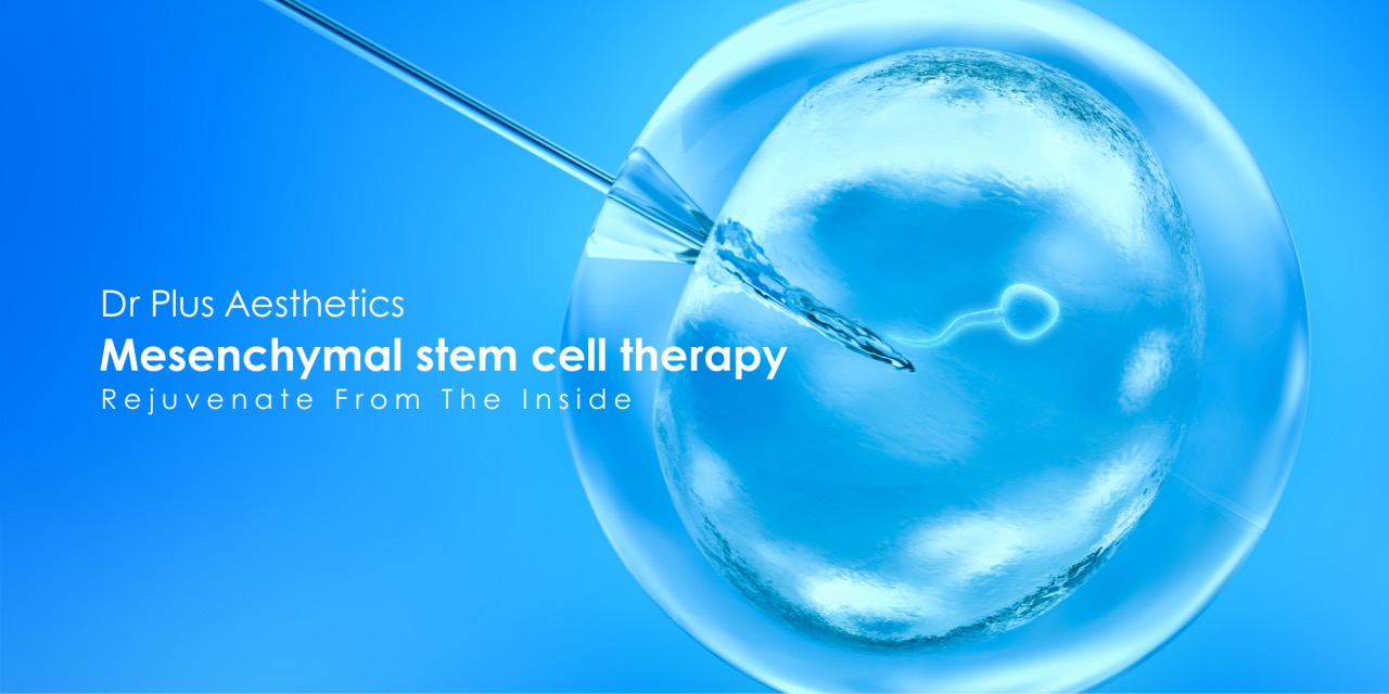 Syringe In Stem Cell